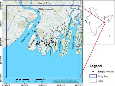 Anomalous Reduction of the Total Suspended Matter During the COVID-19 Lockdown in the Hooghly Estuarine System